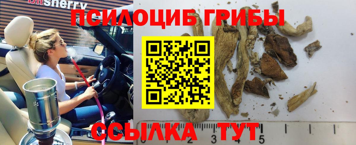купить наркоту  Псилоцибиновые грибы MAGIC MUSHROOMS  Березники  Вход с VPN  Галлюциногенные грибы MAGIC MUSHROOMS 