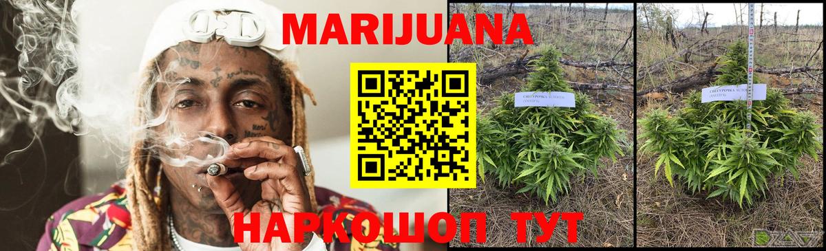 Каннабис SATIVA & INDICA  Каннабис план  Березники 